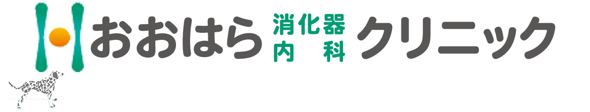 おおはら消化器内科クリニック 大田区中央 消化器内科 内科